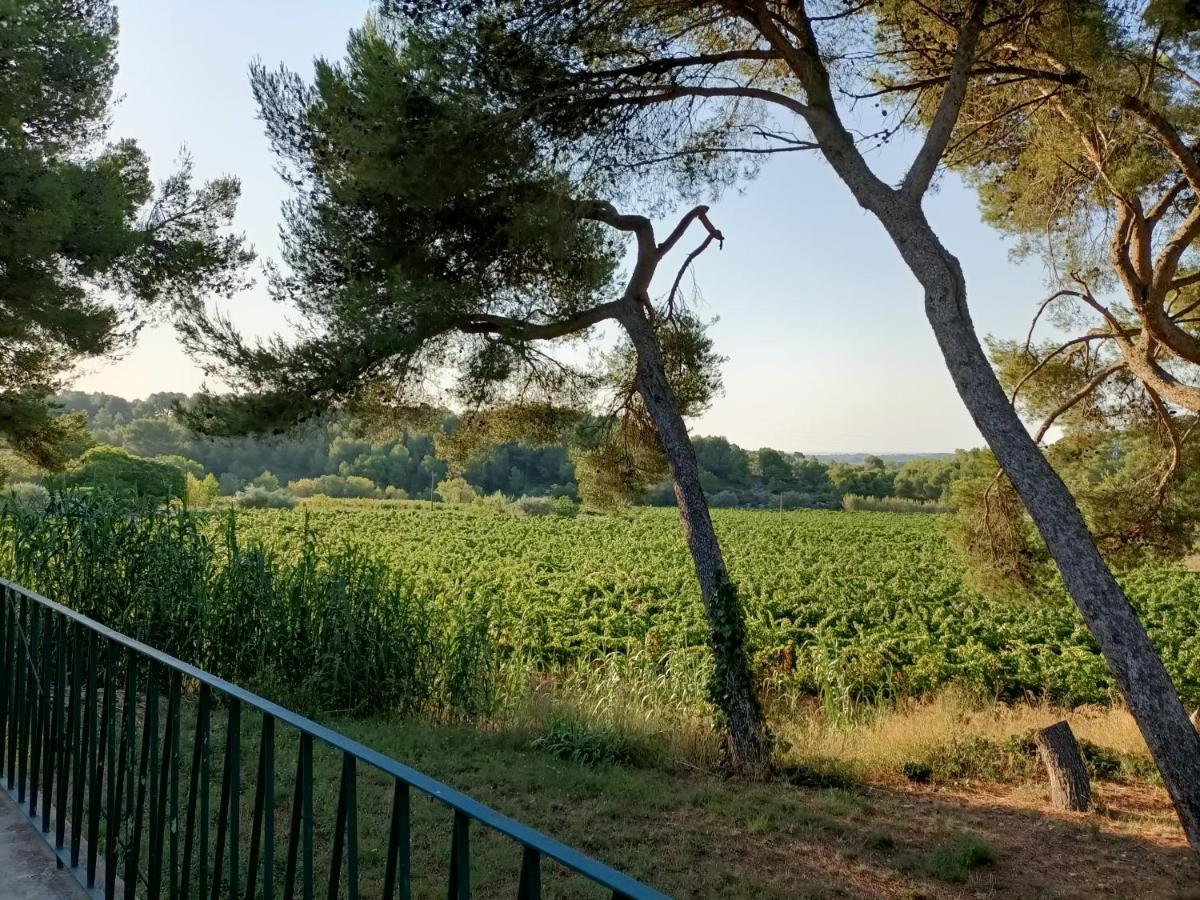 Hotel Les Rocailles Montagnac  Luaran gambar